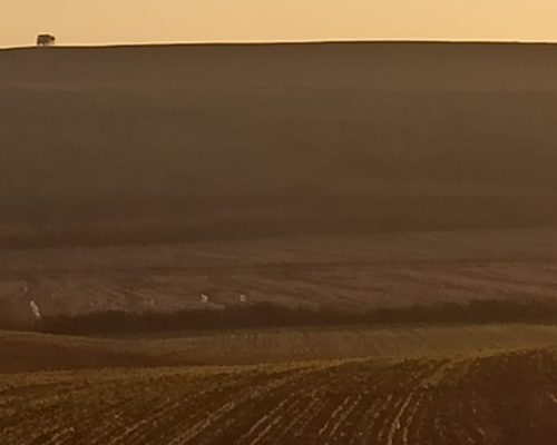 392e2128-2fc3-4e12-b200-0b02c473ddbb