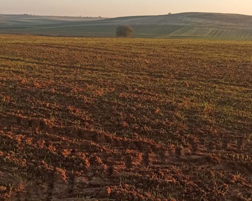 65b3f82d-0ce1-41b4-a065-fbe377a84ad6