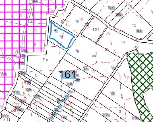 اللون الزهري منطقة اعمار